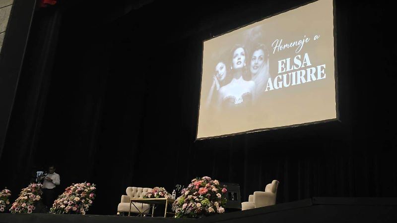 Homenaje-Elsa-Aguirre-Cuernavaca (3)